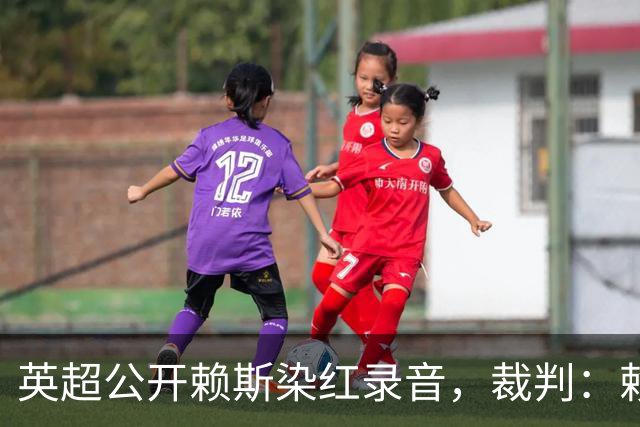 英超公开赖斯染红录音，裁判：赖斯你让我很难做